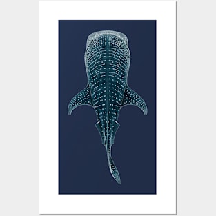 Whale Shark Posters and Art